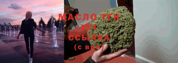 индика Аркадак