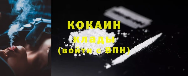 индика Аркадак