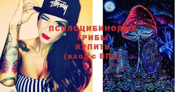индика Аркадак