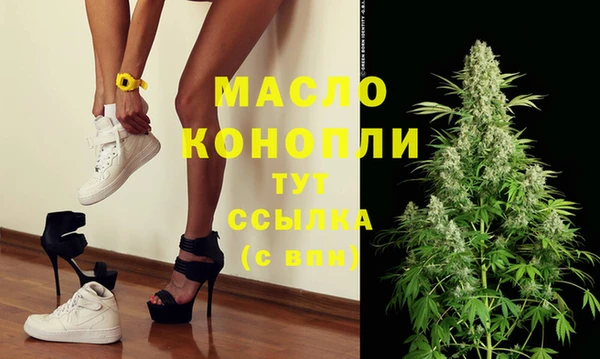 индика Аркадак