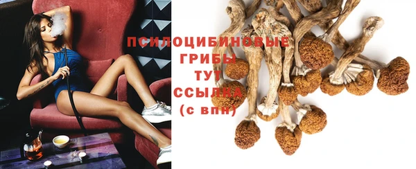 мет Арсеньев