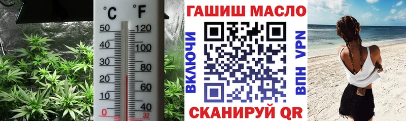 ссылка на мегу ТОР  Кашин  Дистиллят ТГК Wax 