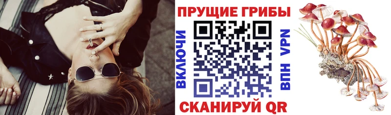 Псилоцибиновые грибы Magic Shrooms  Кашин 