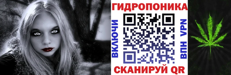 MEGA зеркало Кашин Шишки марихуана ГИДРОПОН